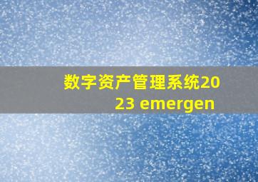 数字资产管理系统2023 emergen